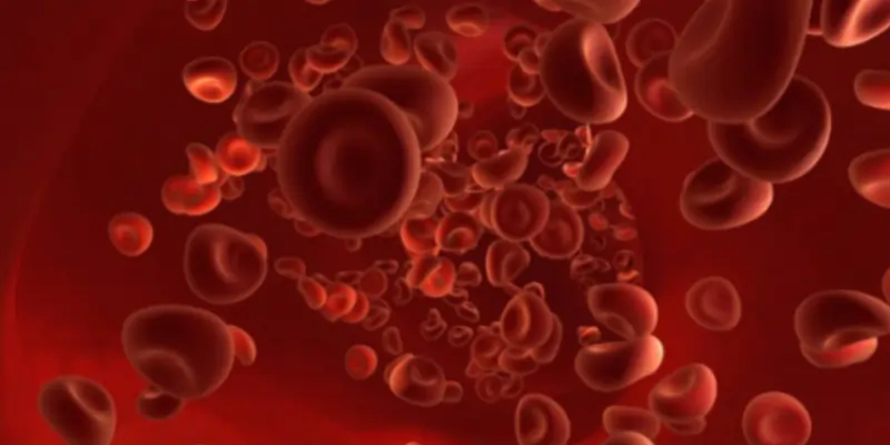 Cancer Cells