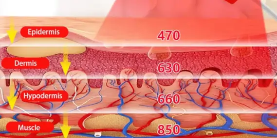 Concept of Red Light Therapy